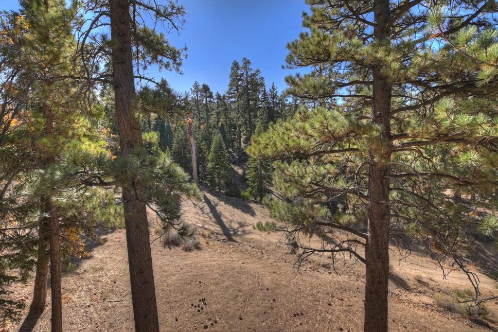 Villa Everwood Serenity Treehouse Ontrail Head/Sledding Big Bear Lake Exterior foto